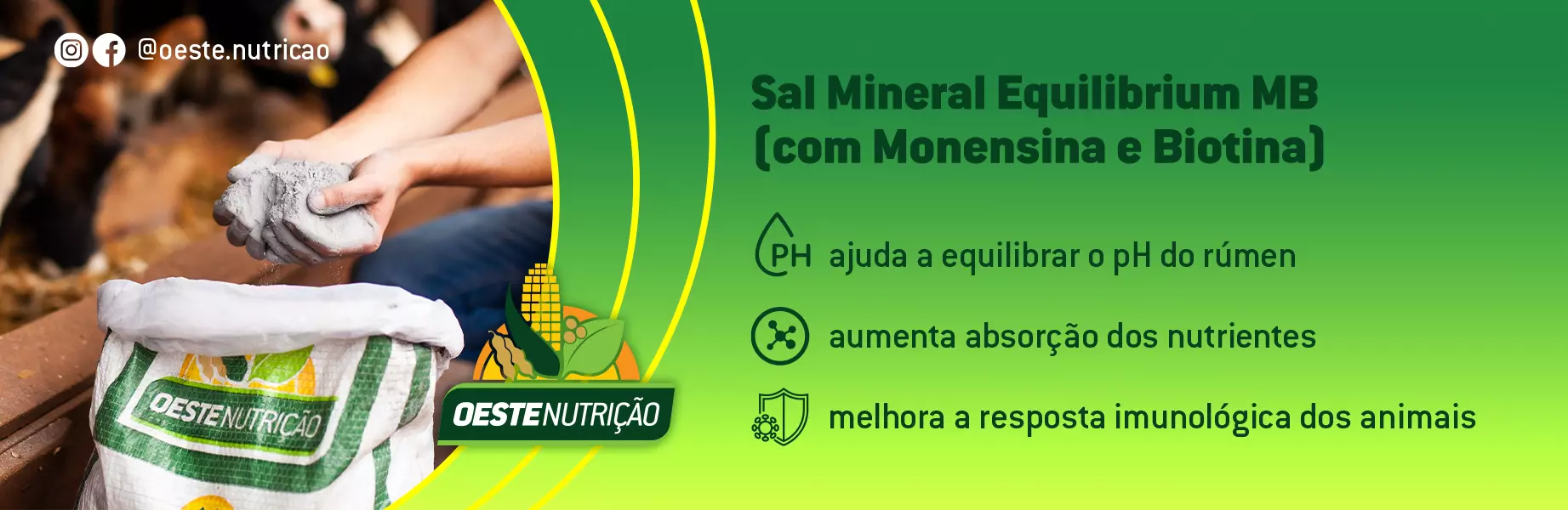 banner-sal-mineral-1